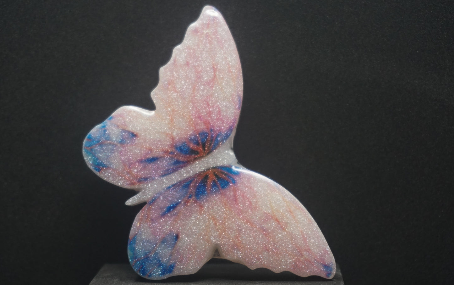 Large Butterflies 002