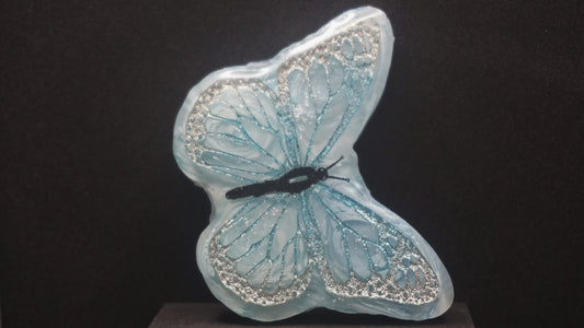 Large Butterflies 019