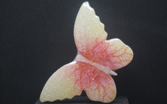 Large Butterflies 021