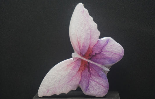Large Butterflies 030