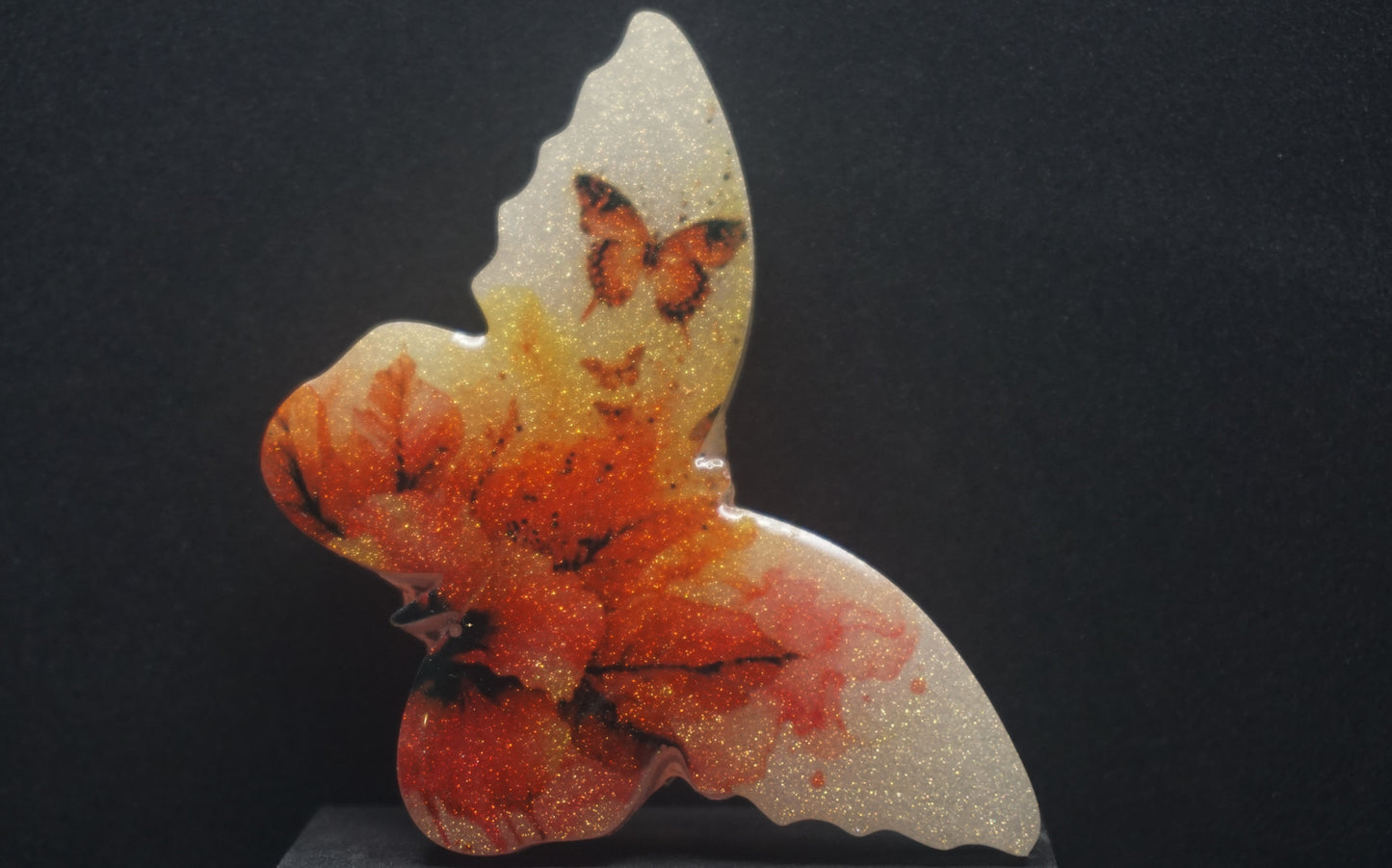 Large Butterflies 039