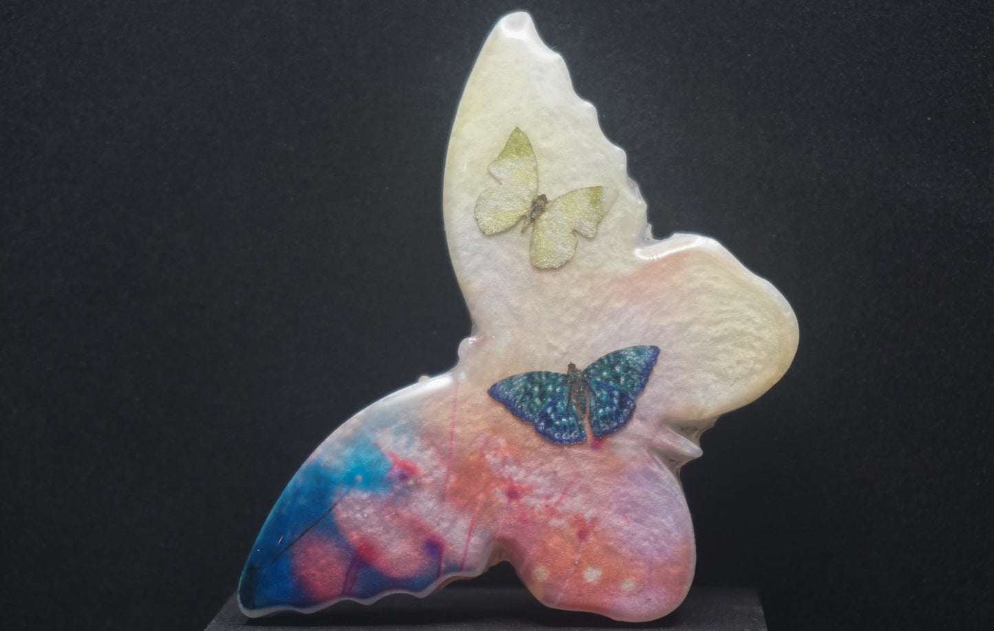 Large Butterflies 041