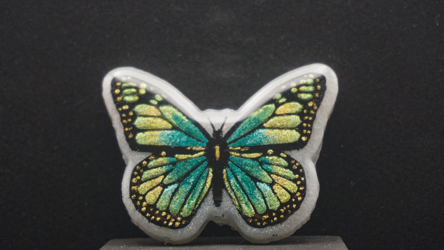 Large Butterflies 001