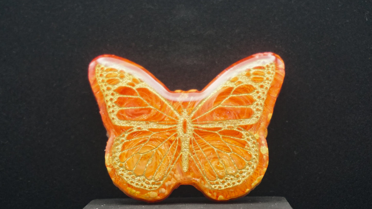 Large Butterflies 045
