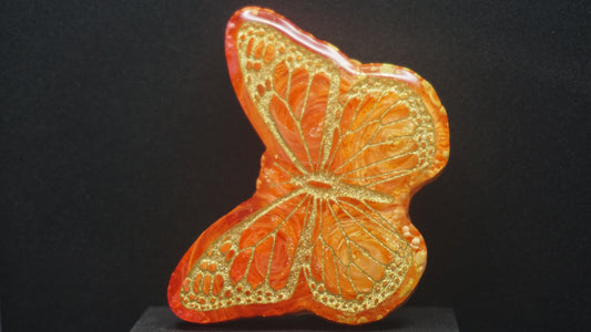 Large Butterflies 045