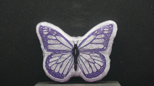 Large Butterflies 046