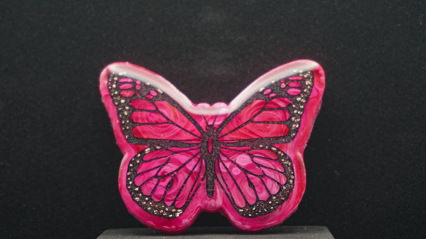 Large Butterflies 048