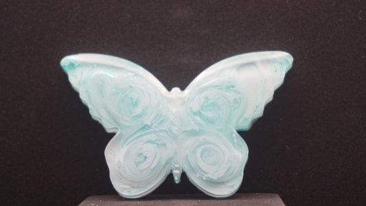 Large Butterflies 051