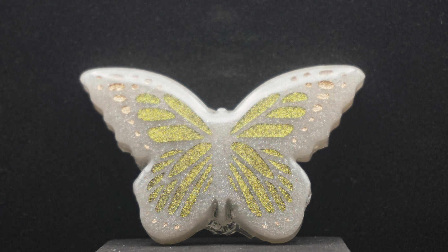 Large Butterflies 054