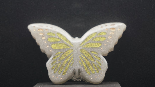Large Butterflies 054
