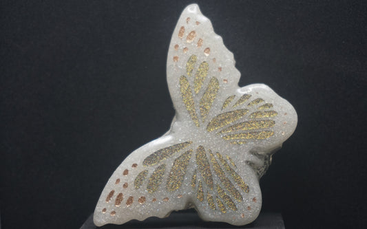 Large Butterflies 054