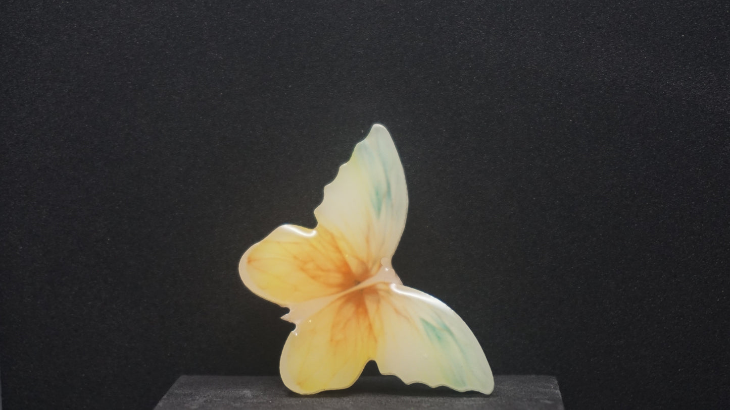 Small Butterflies 015