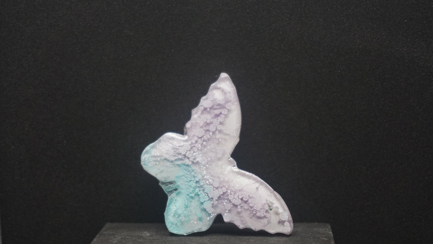 Small Butterflies 021
