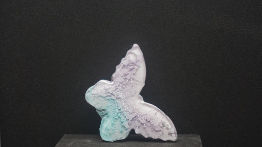 Small Butterflies 021