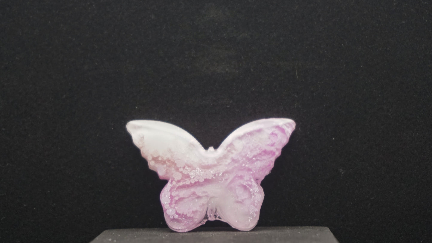 Small Butterflies 024