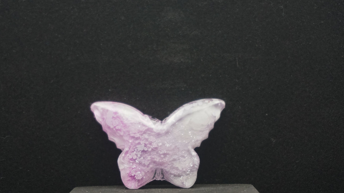 Small Butterflies 027