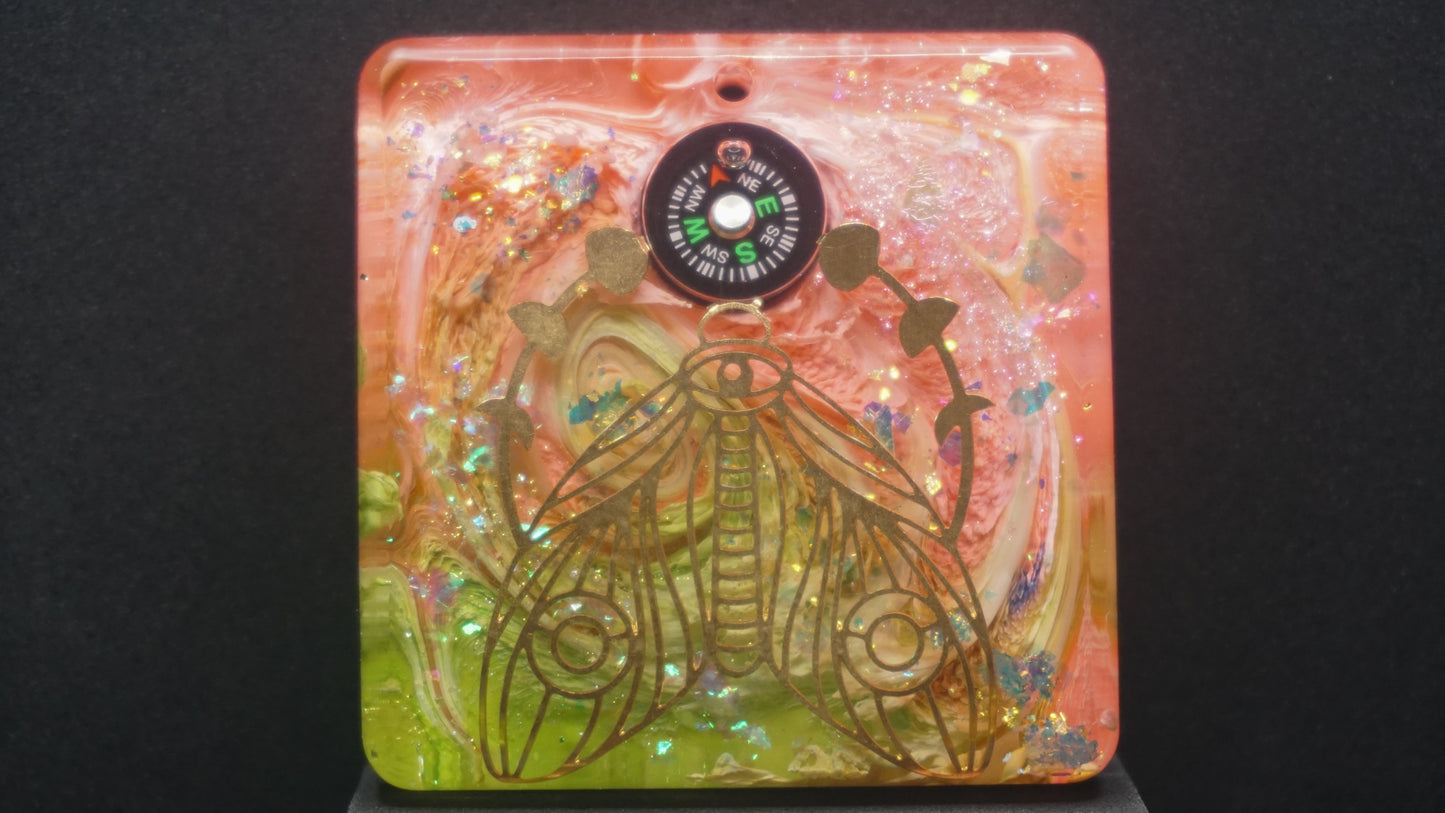 Compass 003