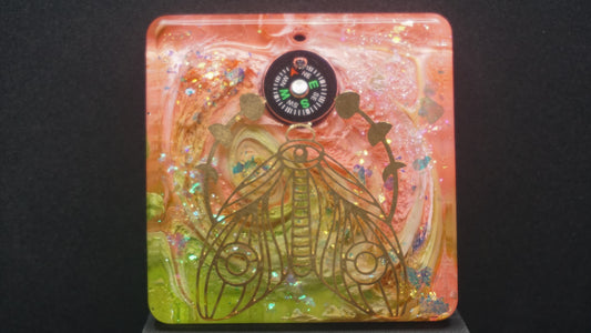 Compass 003