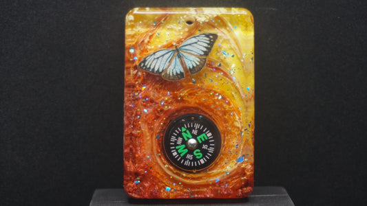 Compass 007