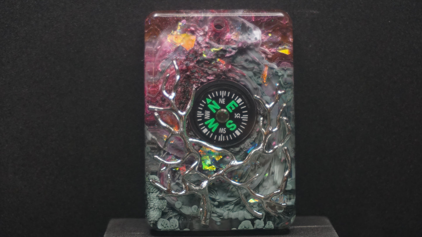 Compass 009