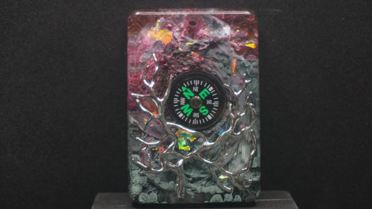 Compass 009