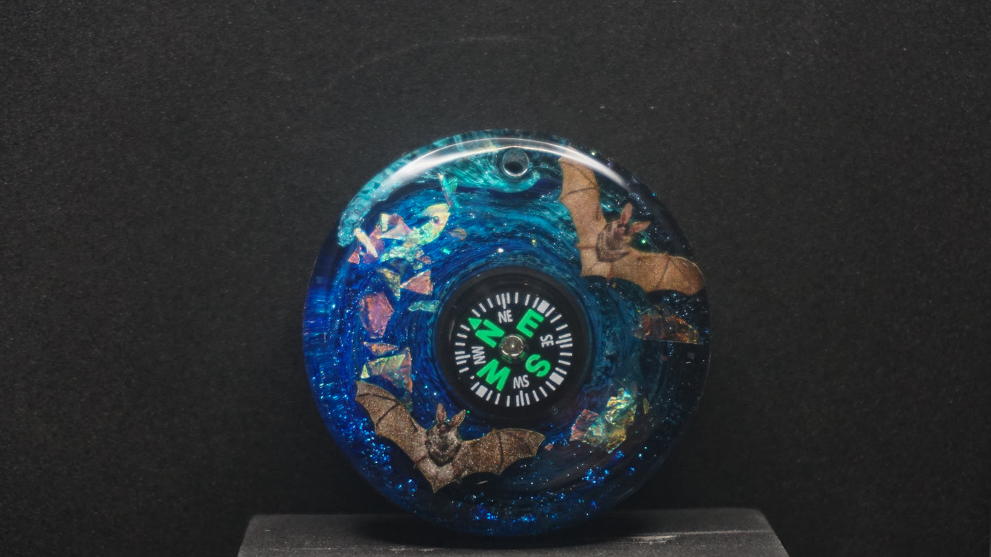 Compass 016