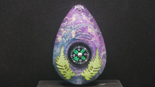 Compass 018