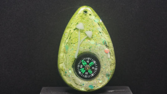 Compass 019