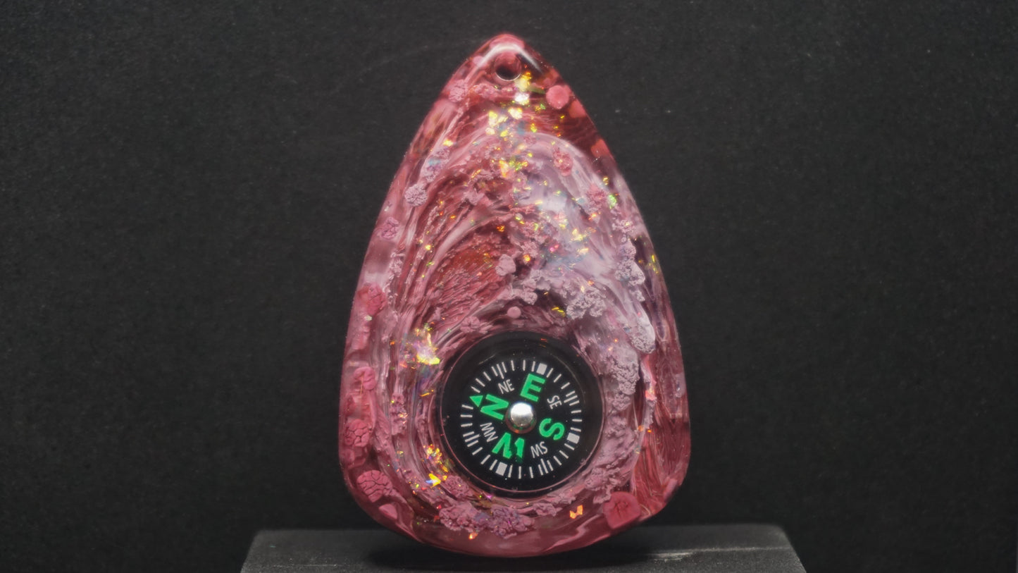 Compass 021