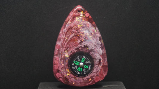 Compass 021