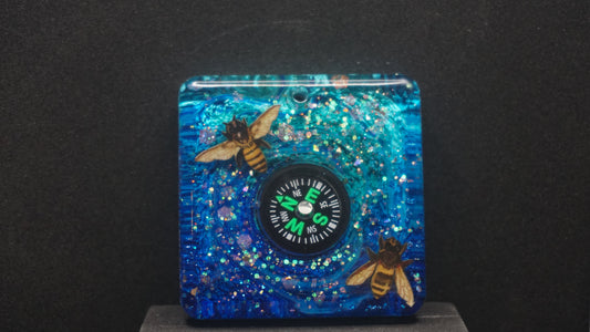 Compass 024
