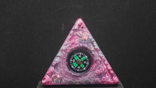 Compass 027