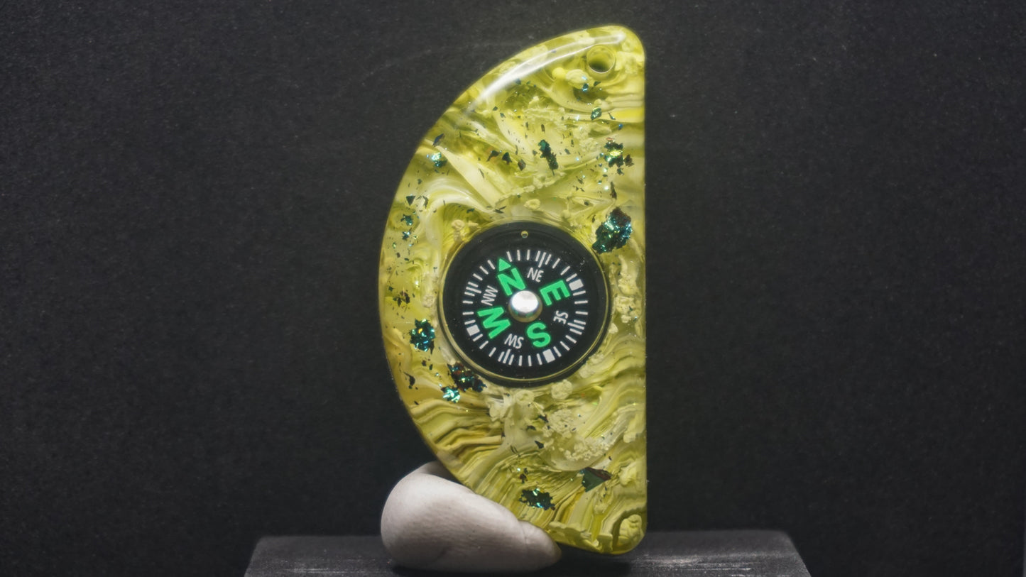 Compass 029