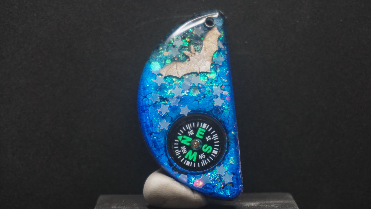 Compass 030