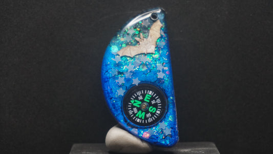Compass 030