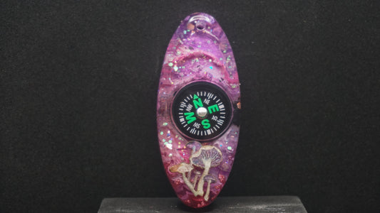 Compass 034