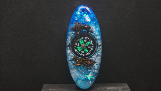 Compass 036