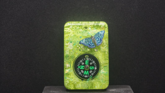 Compass 040
