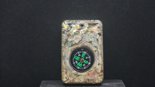 Compass 041