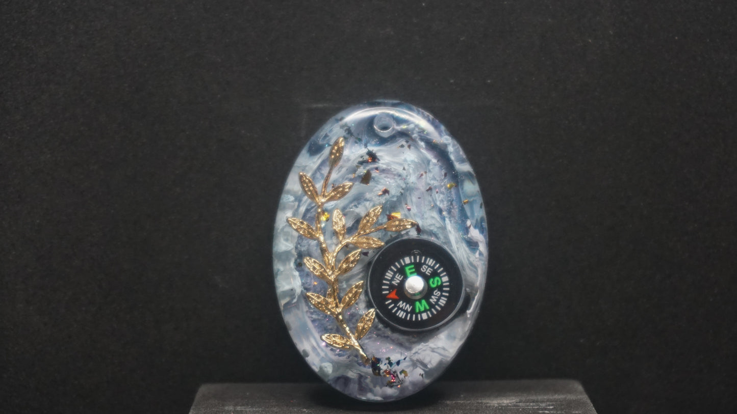 Compass 045