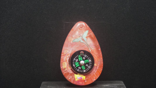 Compass 046