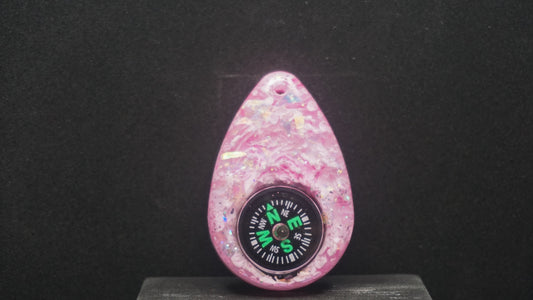 Compass 048