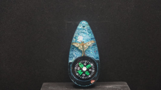 Compass 055