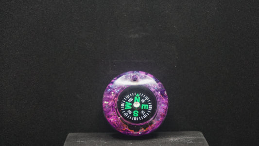 Compass 069