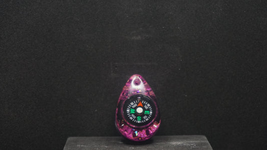 Compass 079