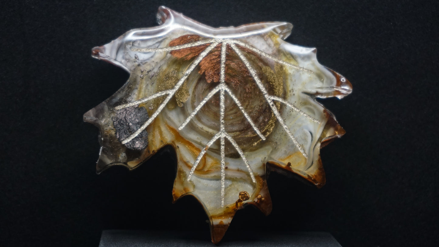 Falling for Autumn 018