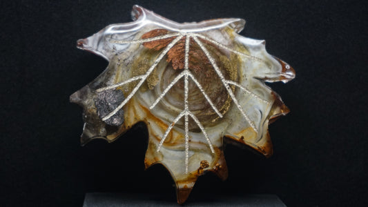 Falling for Autumn 018