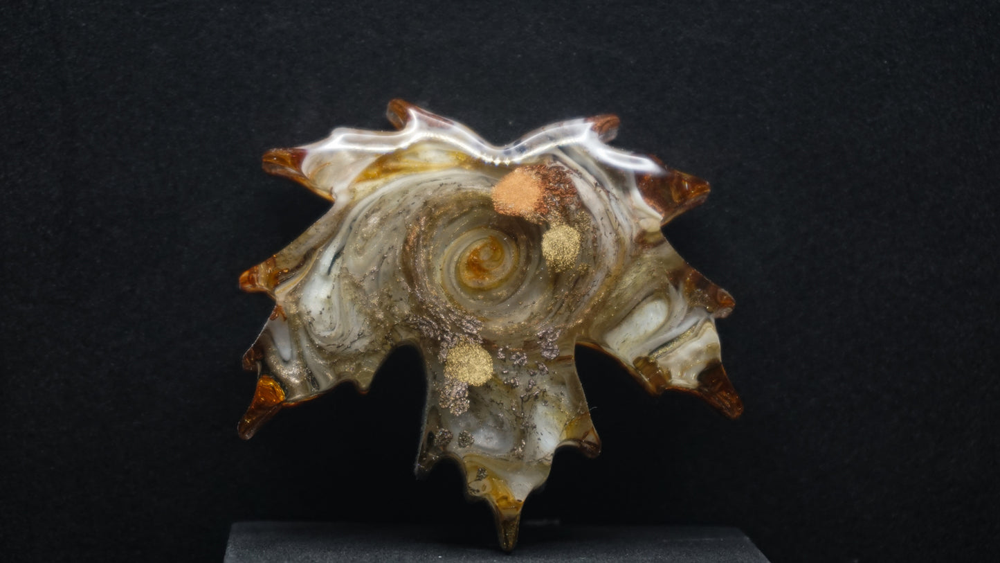 Falling for Autumn 085