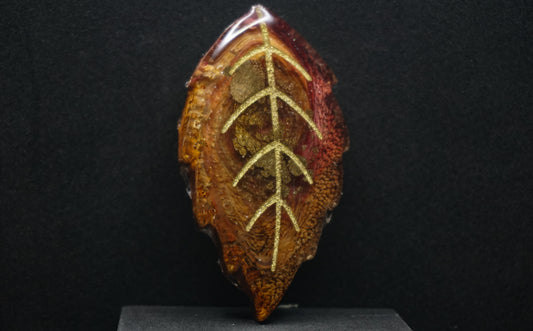 Falling for Autumn 094