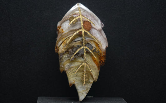 Falling for Autumn 095